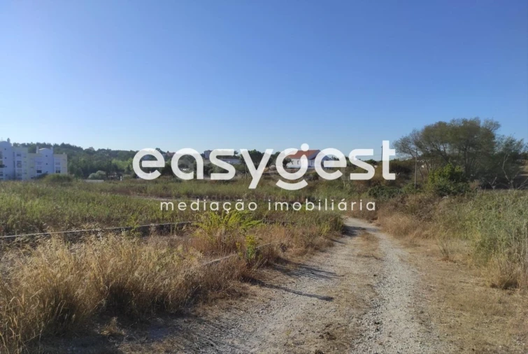 Terreno para Venda em Marvila, Ribeira Santarém, São Salvador, São Nicolau Foto 10