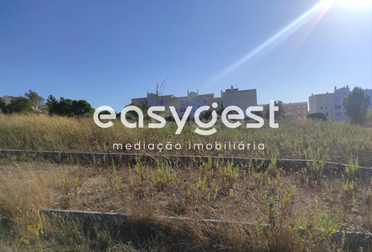 Terreno para Venda em Marvila, Ribeira Santarém, São Salvador, São Nicolau Foto 11