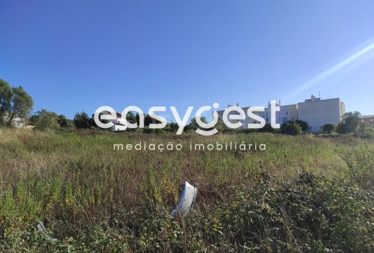 Terreno para Venda em Marvila, Ribeira Santarém, São Salvador, São Nicolau Foto 15