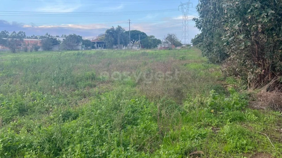 Terreno para Venda em Souto da Carpalhosa e Ortigosa Foto 4
