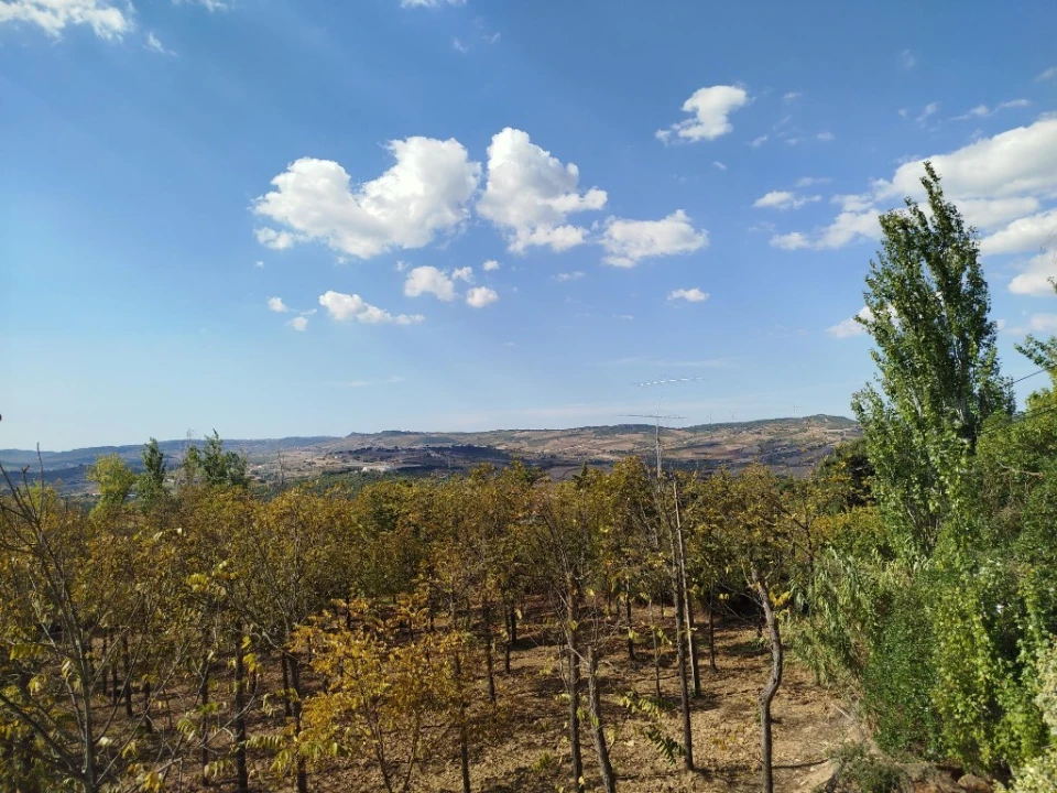 Quinta T5 para Venda em Vila Franca de Xira Foto 3