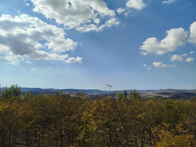 Quinta T5 para Venda em Vila Franca de Xira Foto 4