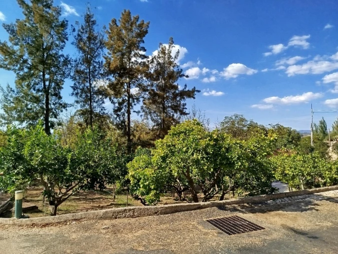 Quinta T5 para Venda em Vila Franca de Xira Foto 1