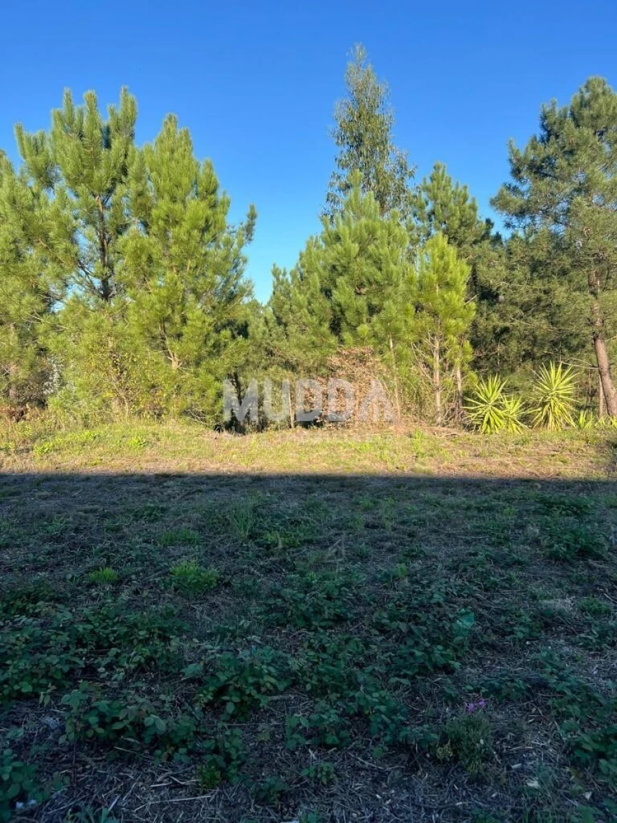 Terreno para Venda em São Roque Foto 2