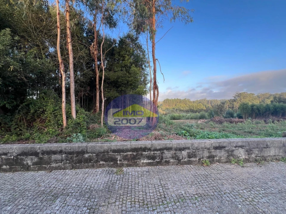 Terreno para Venda em Serzedo e Perosinho Foto 5