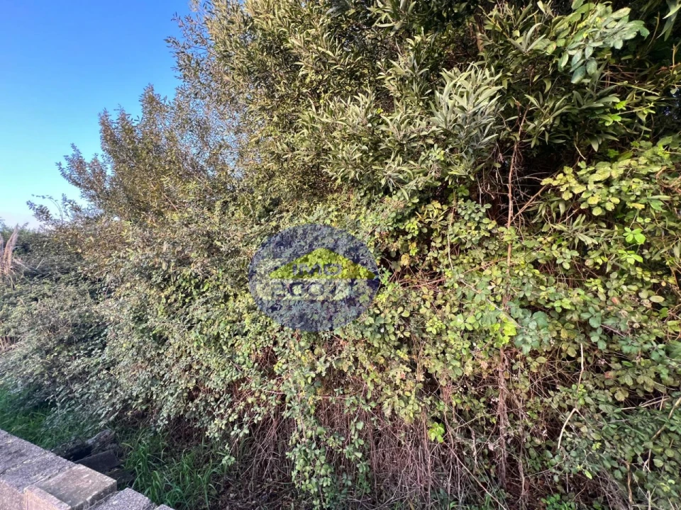 Terreno para Venda em Serzedo e Perosinho Foto 11