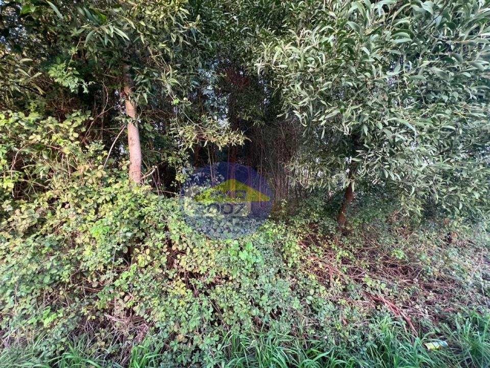 Terreno para Venda em Serzedo e Perosinho Foto 12