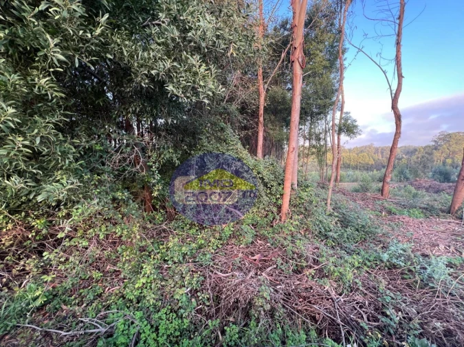 Terreno para Venda em Serzedo e Perosinho Foto 3