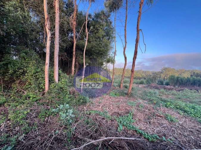 Terreno para Venda em Serzedo e Perosinho Foto 4