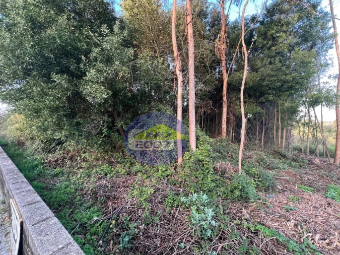Terreno para Venda em Serzedo e Perosinho Foto 6