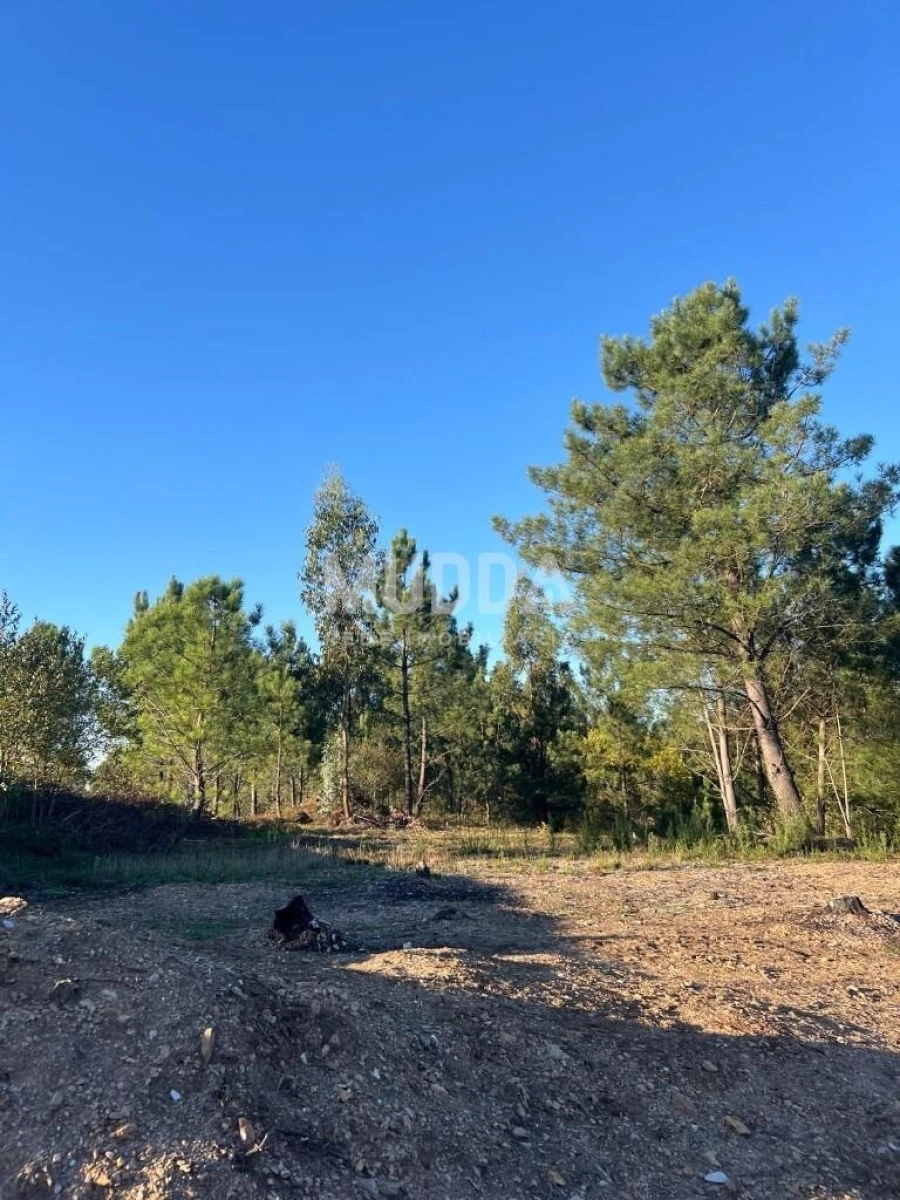Terreno para Venda em São Roque Foto 4