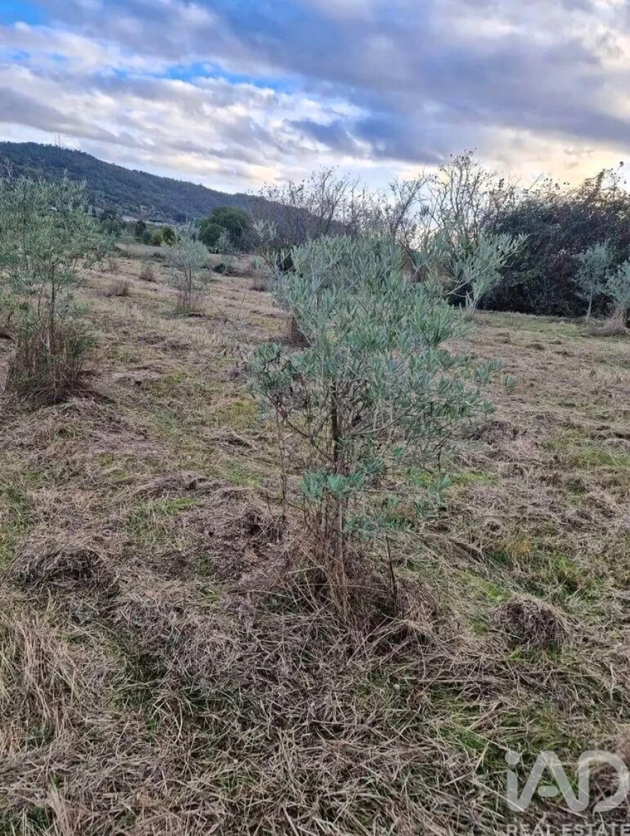 Terreno para Venda em Orjais Foto 6