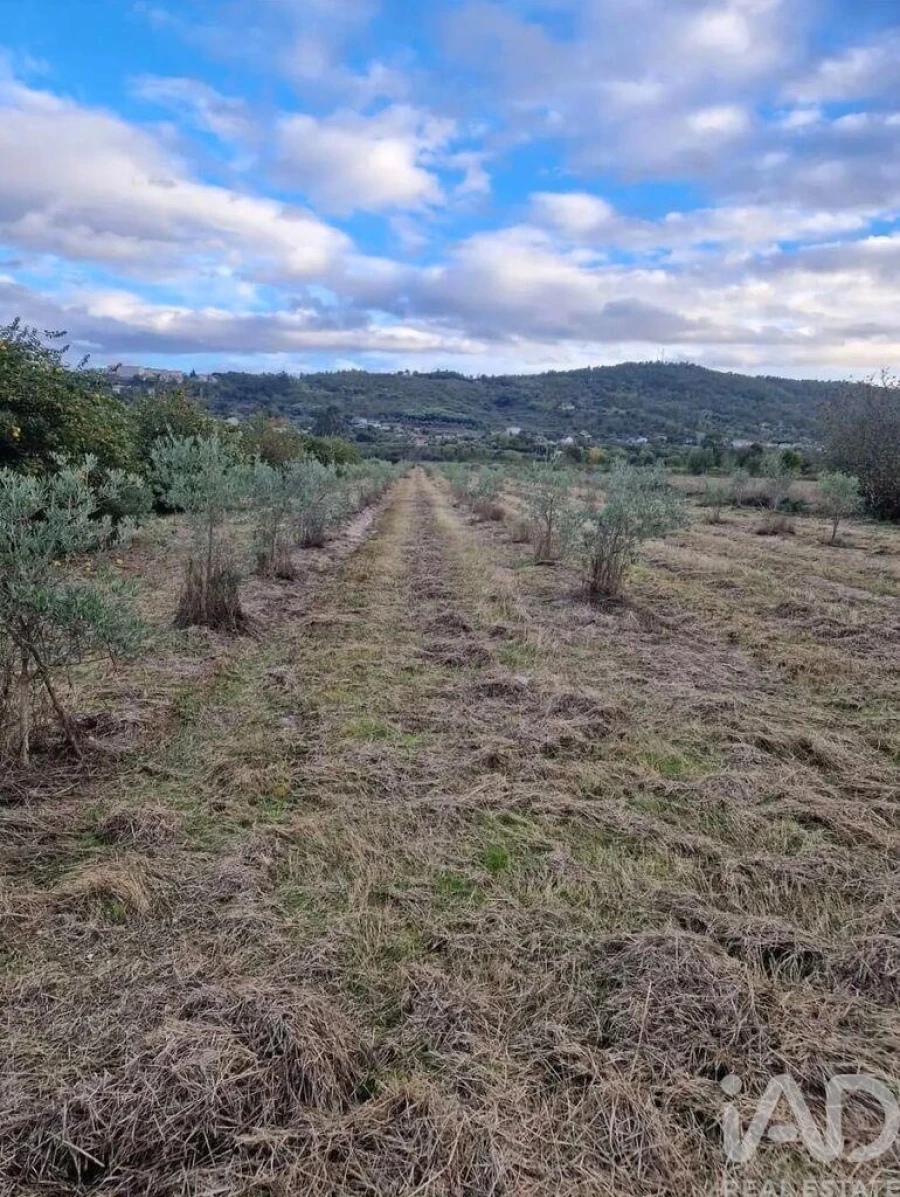 Terreno para Venda em Orjais Foto 9