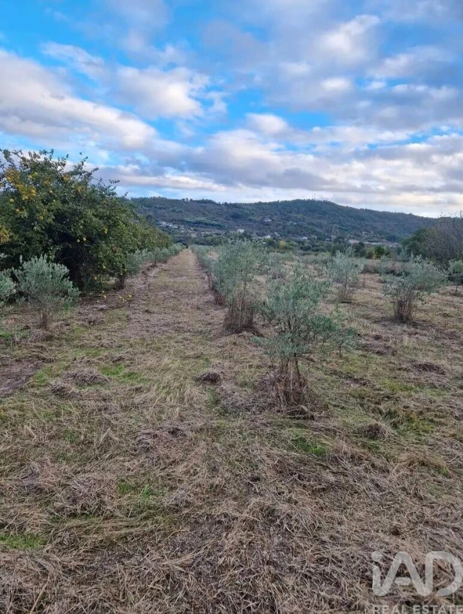 Terreno para Venda em Orjais Foto 7