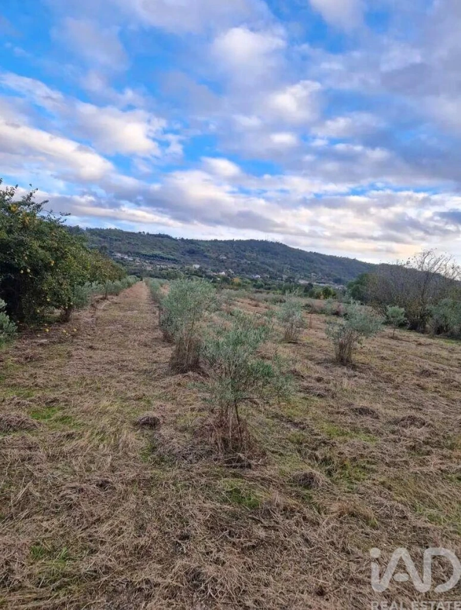Terreno para Venda em Orjais Foto 8
