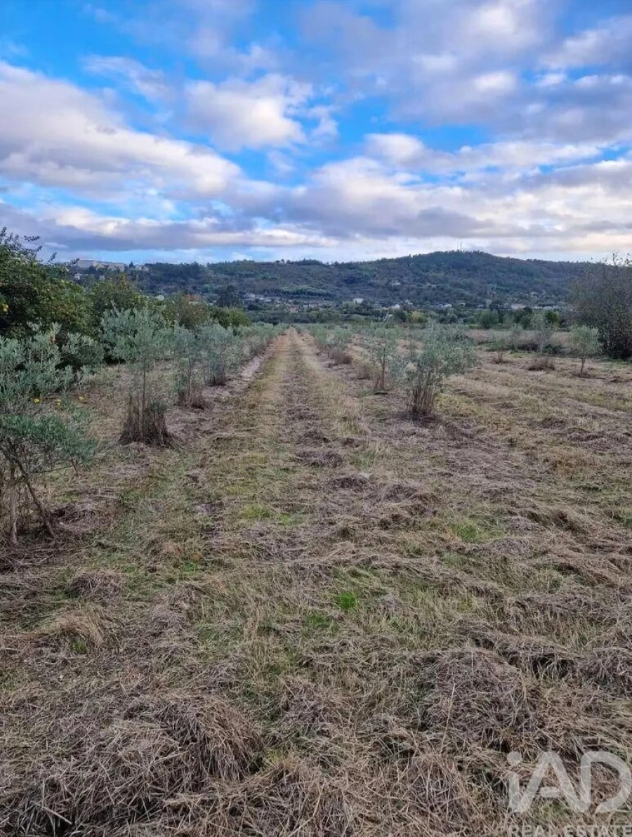 Terreno para Venda em Orjais Foto 10