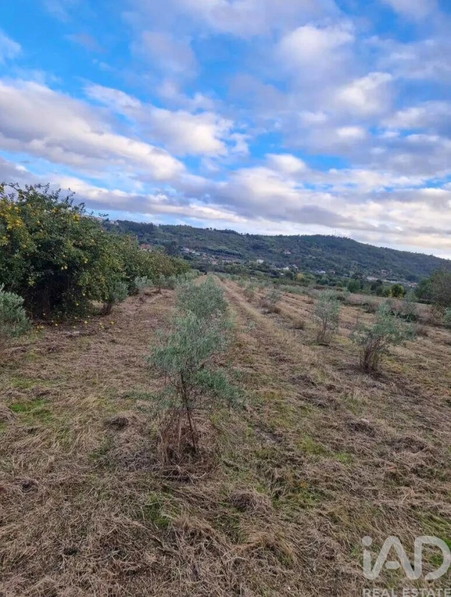Terreno para Venda em Orjais Foto 11