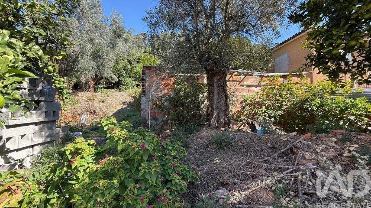 Quinta T2 para Venda em Miranda do Corvo Foto 11