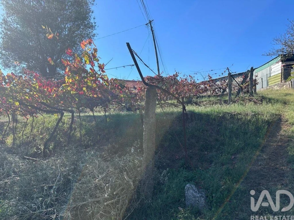 Terreno para Venda em Fornelos e Queijada Foto 10