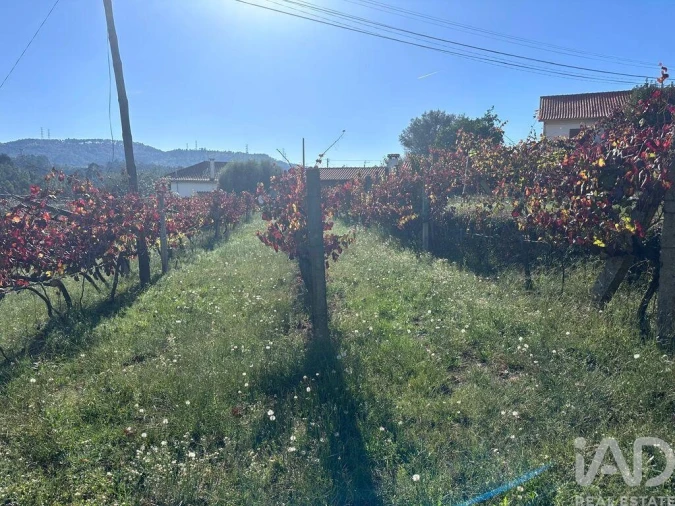 Terreno para Venda em Fornelos e Queijada Foto 7