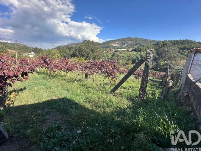 Terreno para Venda em Fornelos e Queijada Foto 9