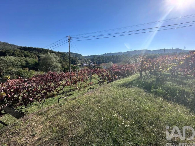 Terreno para Venda em Fornelos e Queijada Foto 5