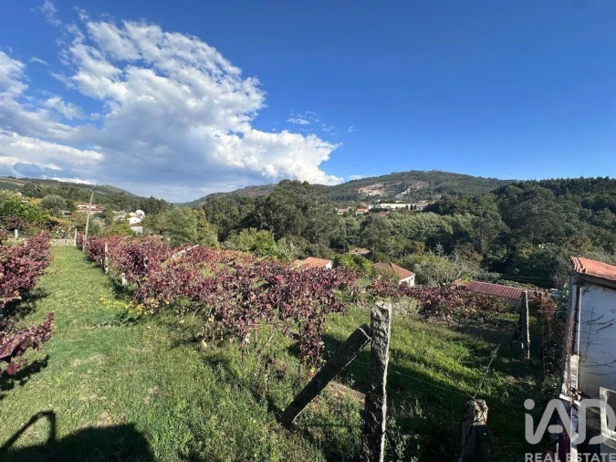 Terreno para Venda em Fornelos e Queijada Foto 3