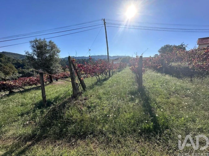 Terreno para Venda em Fornelos e Queijada Foto 6