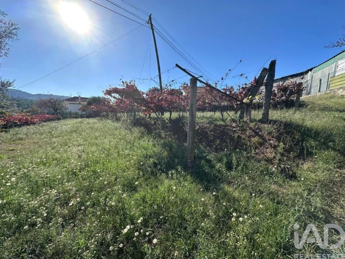 Terreno para Venda em Fornelos e Queijada