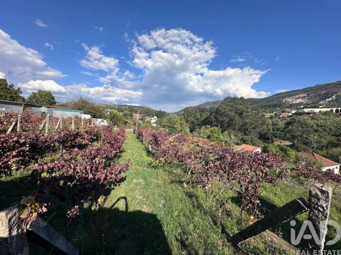 Terreno para Venda em Fornelos e Queijada Foto 8