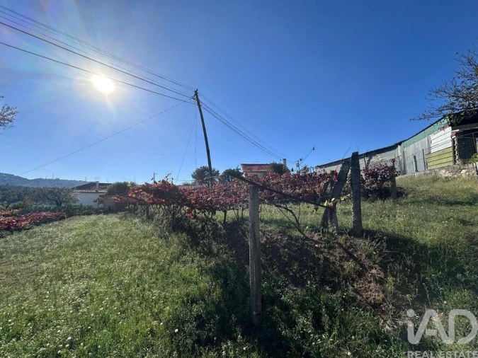 Terreno para Venda em Fornelos e Queijada Foto 4