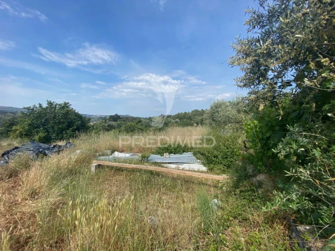 Terreno para Venda em Real Foto 3