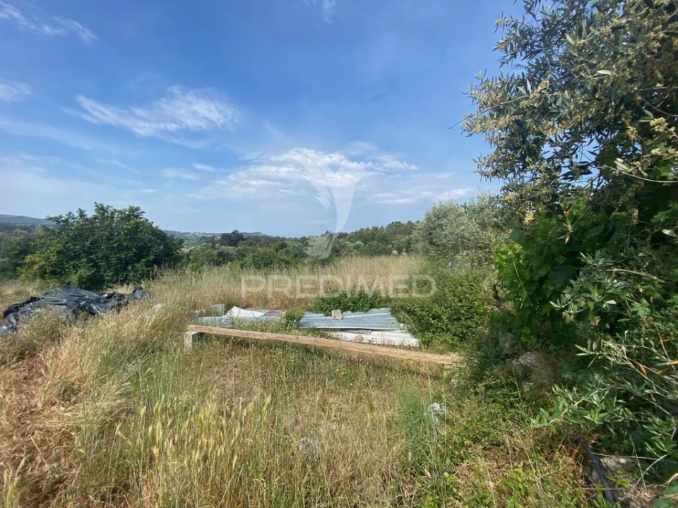 Terreno para Venda em Real Foto 3