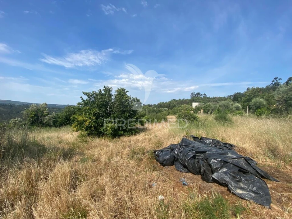 Terreno para Venda em Real Foto 6