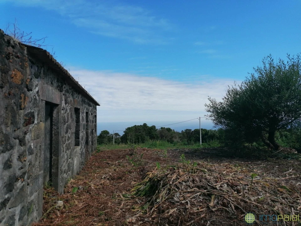 Moradia T2 para Venda em Capelo Foto 3