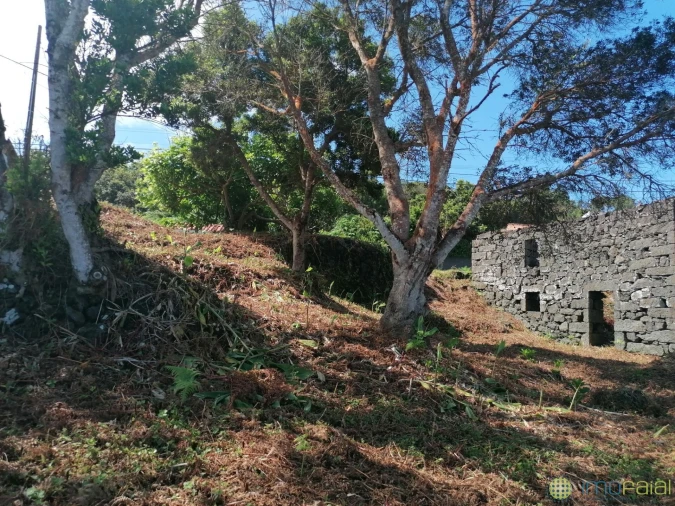 Moradia T2 para Venda em Capelo Foto 9