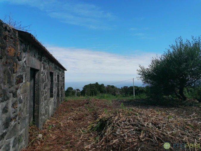 Moradia T2 para Venda em Capelo Foto 3
