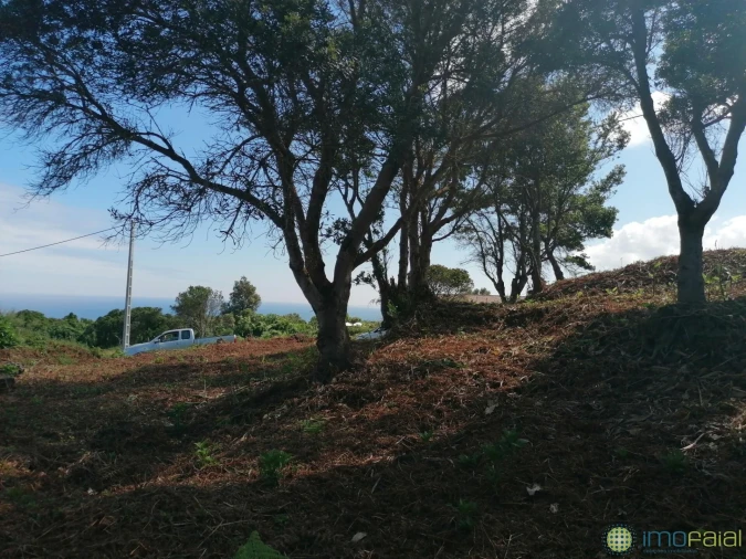 Moradia T2 para Venda em Capelo Foto 13