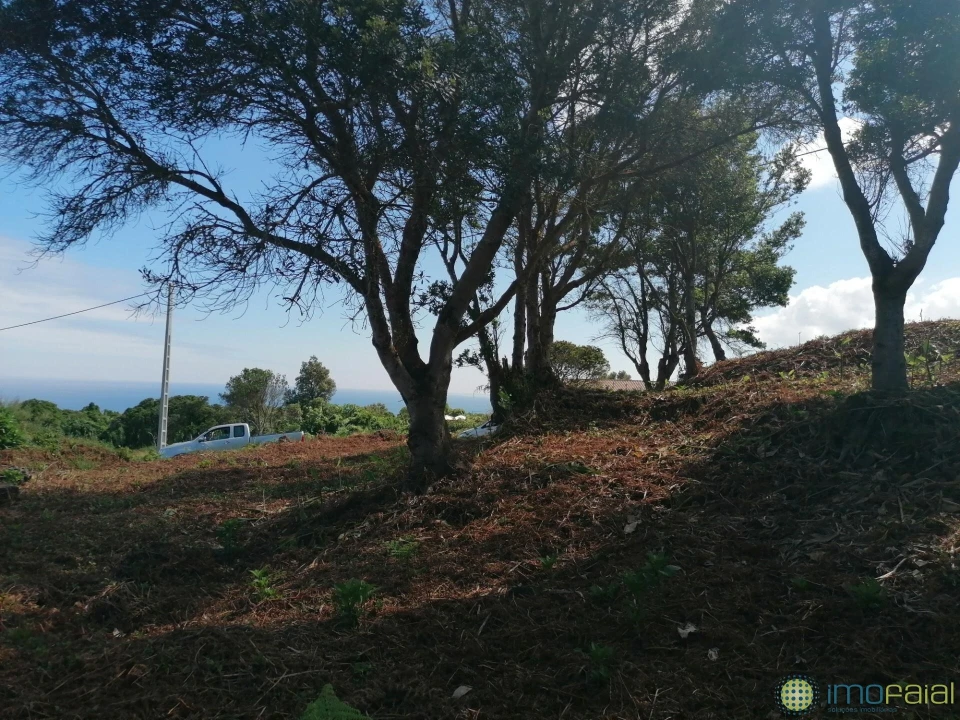 Moradia T2 para Venda em Capelo Foto 13