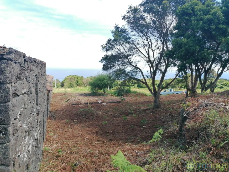 Moradia T2 para Venda em Capelo Foto 6