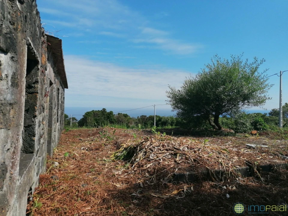 Moradia T2 para Venda em Capelo Foto 8