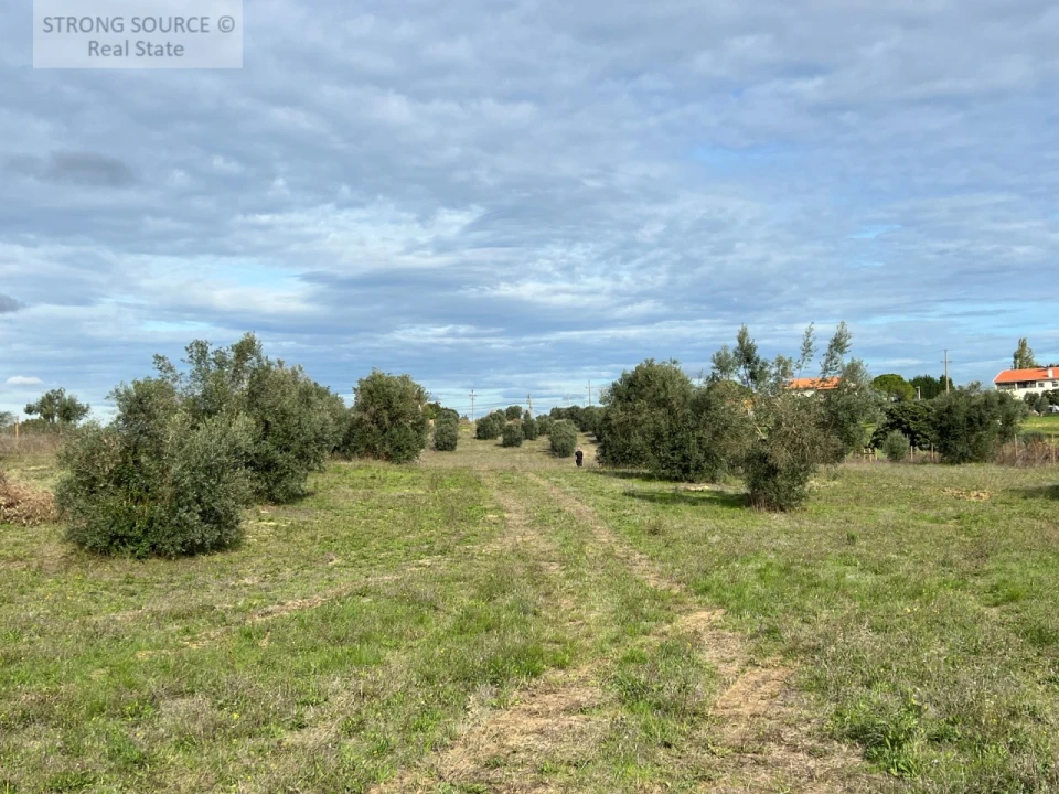 Quinta T4 para Venda em São Vicente do Paul e Vale de Figueira Foto 21