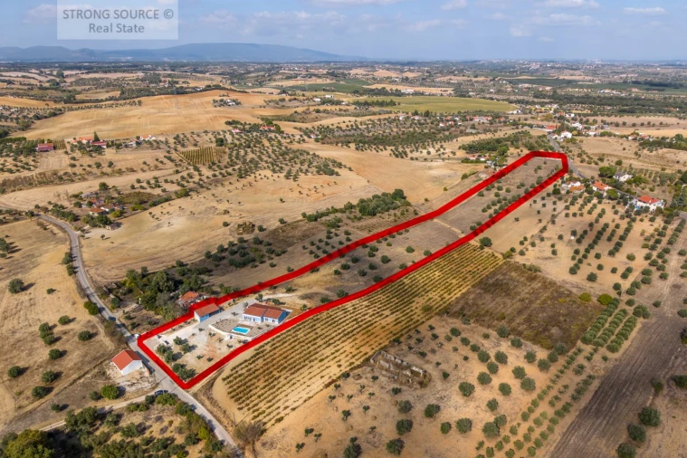 Quinta T4 para Venda em São Vicente do Paul e Vale de Figueira Foto 8