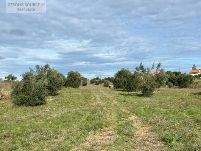 Quinta T4 para Venda em São Vicente do Paul e Vale de Figueira Foto 21