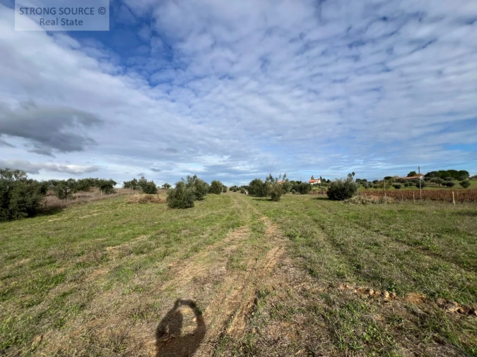 Quinta T4 para Venda em São Vicente do Paul e Vale de Figueira Foto 23