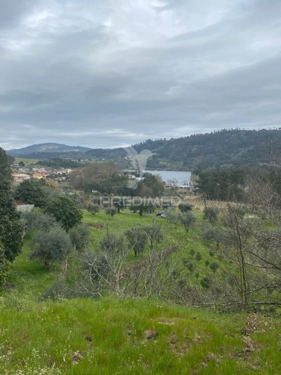 Quinta para Venda em Povolide