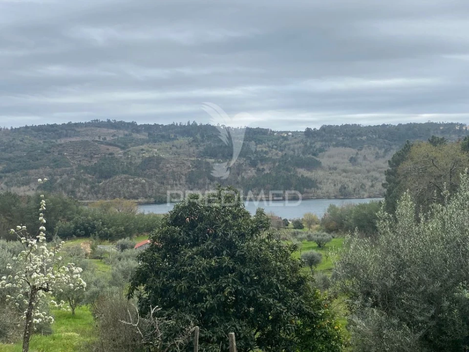 Quinta para Venda em Povolide Foto 2