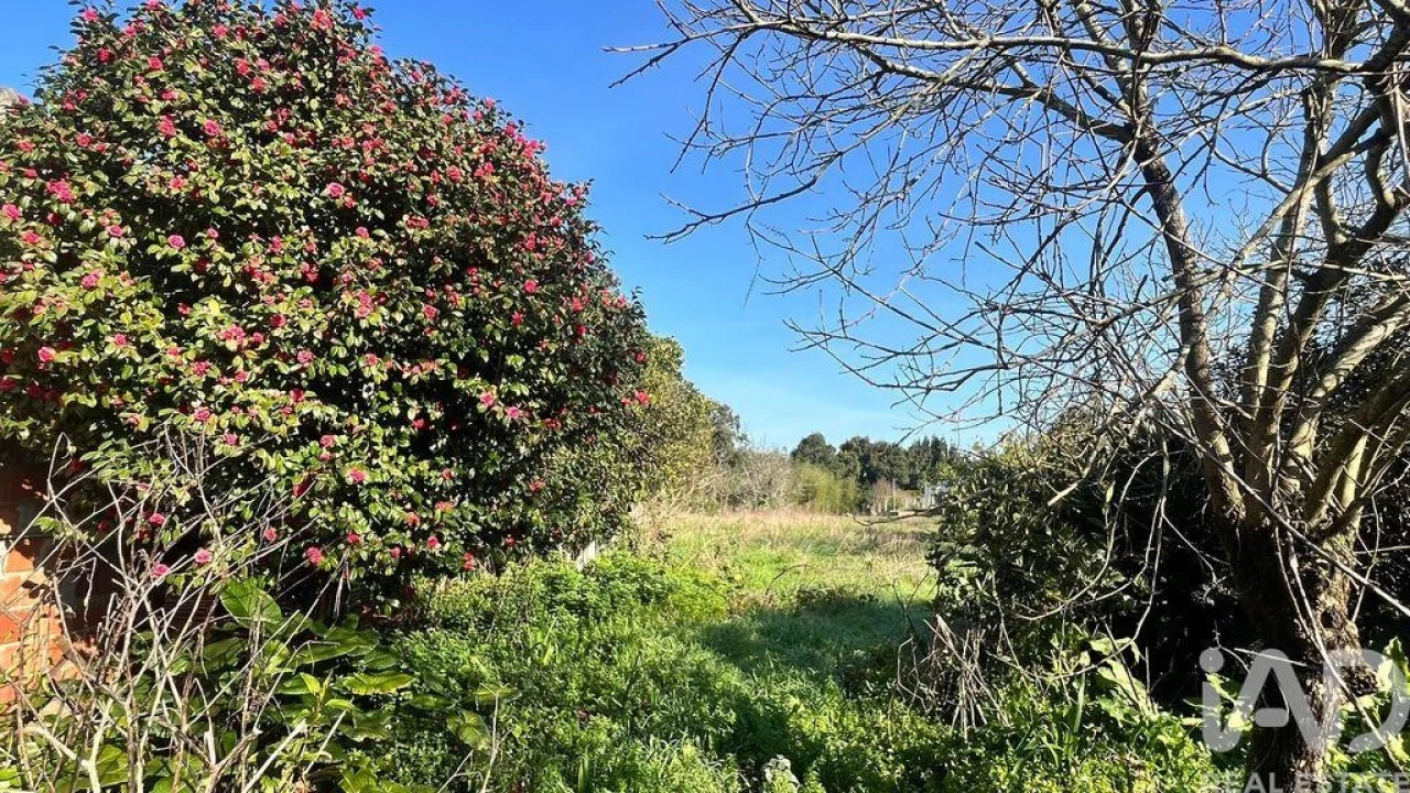 Moradia T2 para Venda em Oliveirinha Foto 5