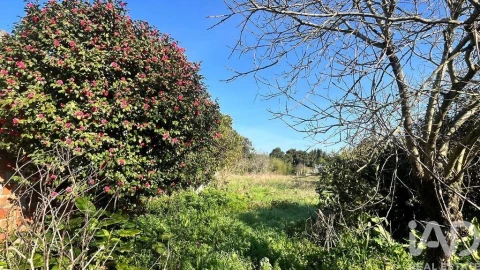 Moradia T2 para Venda em Oliveirinha
