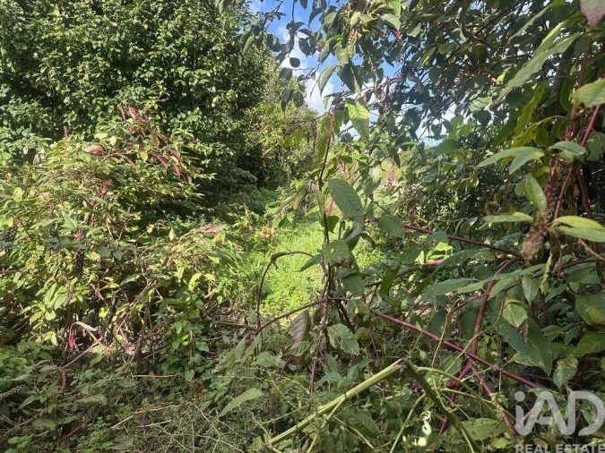 Moradia T2 para Venda em Oliveirinha Foto 8